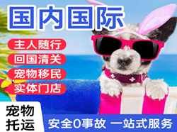 东营胜利航空托运国际宠物托运 【国